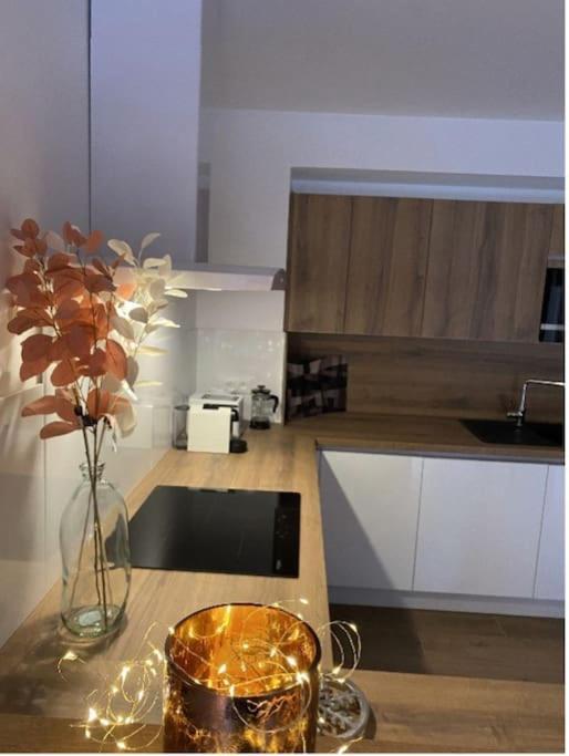 Le Doux Meleze Daire Saint-Chaffrey Dış mekan fotoğraf